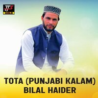 Tota (Punjabi Kalam) - Bilal Haider & Naseer Ahmad