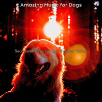 Trio Jazz Soundtrack for Training Dogs - Amazing Music for Dogs