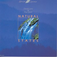 Rain Forest - Paul Speer & David Lanz