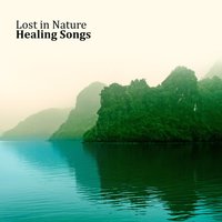 Tropical Storm Reaches - Home SPA Collection