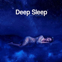Dolphin Meditation - Deep Sleep Music Systems