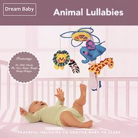 The Lion Sleeps Tonight - Dream Baby