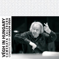 Symphony No. 9 in C Major, D. 944: II. Andante con moto - Vegh Quartet & Camerata Salzburg & Франц Шуберт
