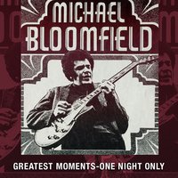 Walkin' The Floor - Michael Bloomfield