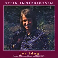 Illusjoner - Stein Ingebrigtsen