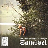 Den Svikne - Knut Buen