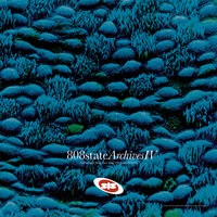 Paradan - 808 State