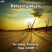 Calm Music Pt. 7 - Sleeping Music & Relaxing music & Yoga