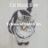 Trio Jazz Soundtrack for Kittens - Cat Music Bgm
