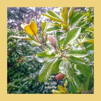 Breathe - The Lulls & Night Sounds
