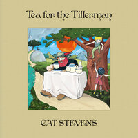 Wild World - Cat Stevens