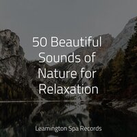 Detox the Mind - Schlaflieder Für Kinder & Relaxing Sleep Music & Rain