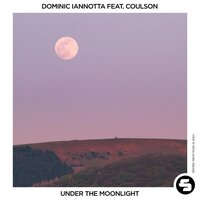 Under the Moonlight - Dominic Iannotta & Coulson