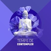 Pluie mystérieuse - Musique Thérapeutique Naturelles