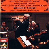 Introduction, Theme and Variations in F major Op. 102: Adagio - Maurice Andre & Das Zürcher Kammerorchester & Edmond De Stoutz & Иоган Непомук Гуммель