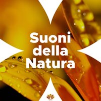 Centro Benessere - Musica Rilassante Relax & Sleep n Love & Musica Rilassante Relax & Sleep n Love