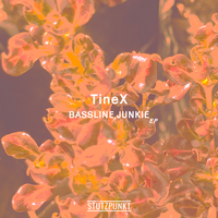 Something Like This - TineX & STÜTZPUNKT
