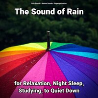 The Sound of Rain for Relaxation and Night Sleep Pt. 25 - Nature Sounds & Rain Sounds & Regengeräusche
