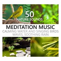 Ocean Liquid (Relax Mind) - Calming Water Consort