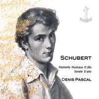 Sonate, D. 960: II. Andante sostenuto - Denis Pascal & Франц Шуберт