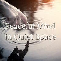Meditative Sounds - No Stress Ensemble
