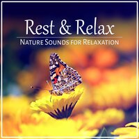 Rest & Relax (Nature Sounds for Relaxation) - Oasis of Relaxation