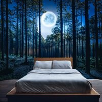 Caminos Nocturnos Armonizados - Música para soñar & Biblioteca para el reposo & Relajación Meditación Dormir