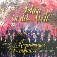 Ich lag in tiefer Todesnacht - Regensburger Domspatzen & Roland Büchner