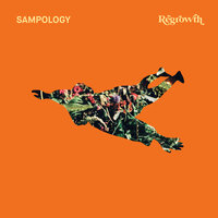 Blooming in the Streets - Sampology & Seven Davis Jr.
