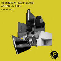 Mosquito Brain - David Garez & Hertzqvake