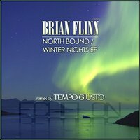 Winter Nights - Brian Flinn