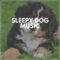 Manipulate Mass - Calming for Dogs