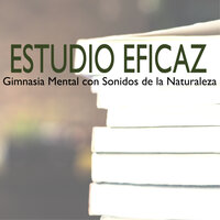 Música para Trabajar - Estudio Hermoso & Relajarse & Estudio Hermoso & Relajarse