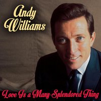 Tender is the Night - Andy Williams