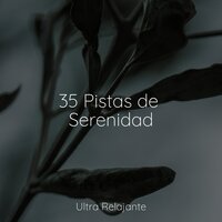 Los Aleros De La Noche - Musica relajante & Zona Música Relaxante & Musica Para Meditar y Relajarse