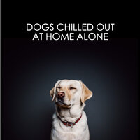 Soundtrack To Calm Dogs - Dog Chillout Zone