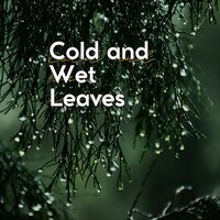 Thunderstorms, Pt. 17 - Rain Sounds FX