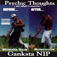 Set up Bitches - Ganksta Nip