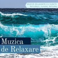 Frunze Verzi - Muzica de Relaxare Star