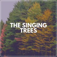 Stronger Wind - Sounds of Nature Noise & Weather and Nature Recordings & Organic Nature Sounds