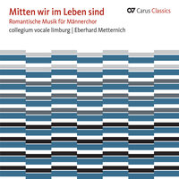 Rheinberger: Mass in F Major, Op. 190 - VI. Agnus Dei - Hans Jurgen Wulf & collegium vocale Limburg & Eberhard Metternich