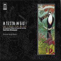 Struzzi cadenti - Gabriele Mirabassi