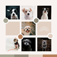 Music - Energetic - Good Dog Music