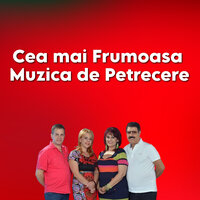 Cea mai Frumoasa Muzica de Petrecere - Dan Ciotoi