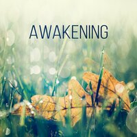 Buddhism - Only Imagine Meditation Universe