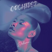 ORCHIDEJ - Dalliance