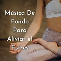 Bosque del Norte - Musica Para Meditar
