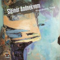 Cold Shower - Steinar Aadnekvam & Deodato Siquir