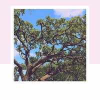 Hip Moods for Chill Day - Cafe Jazz Duo