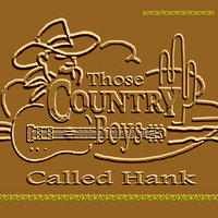 I Went to Your Wedding - Hank Snow